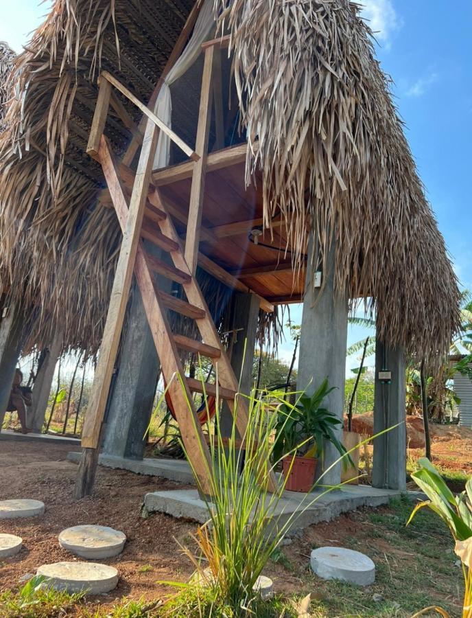 Sasy Tipis Hotel ซานตากาตาลีนา ภายนอก รูปภาพ